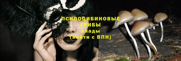 гидропоника Горняк