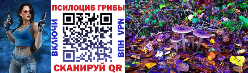 Псилоцибиновые грибы прущие грибы  Северодвинск 